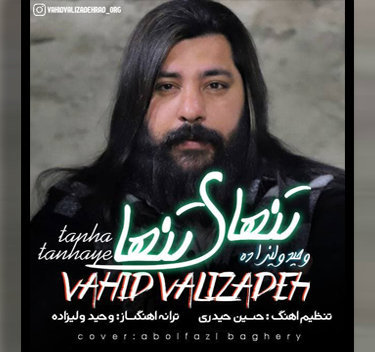 وحید ولی زاده تنهای تنها بیمه تو تنهایم شاه بیمه